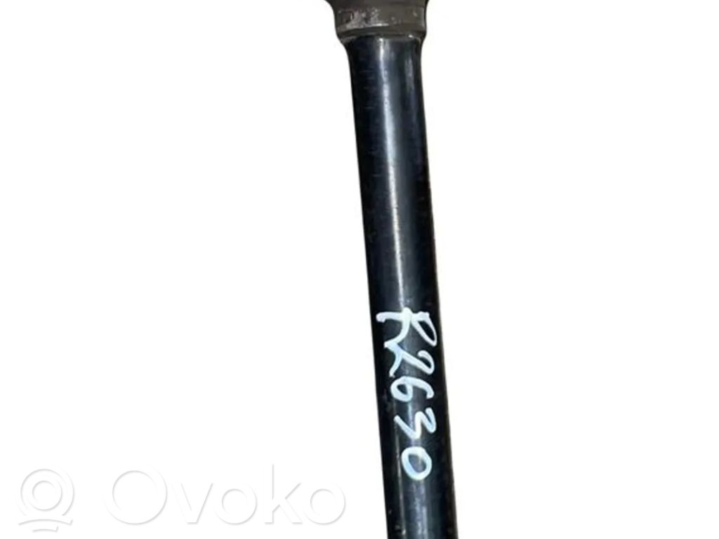 Galinis pusašis