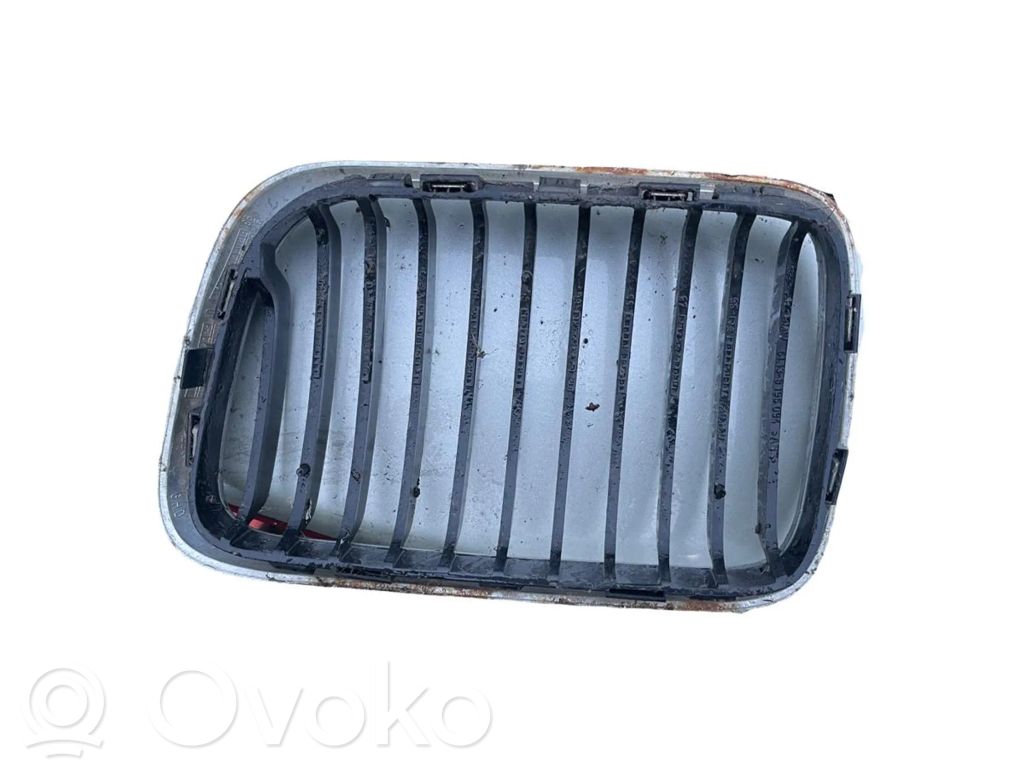 Front grill   51138195094