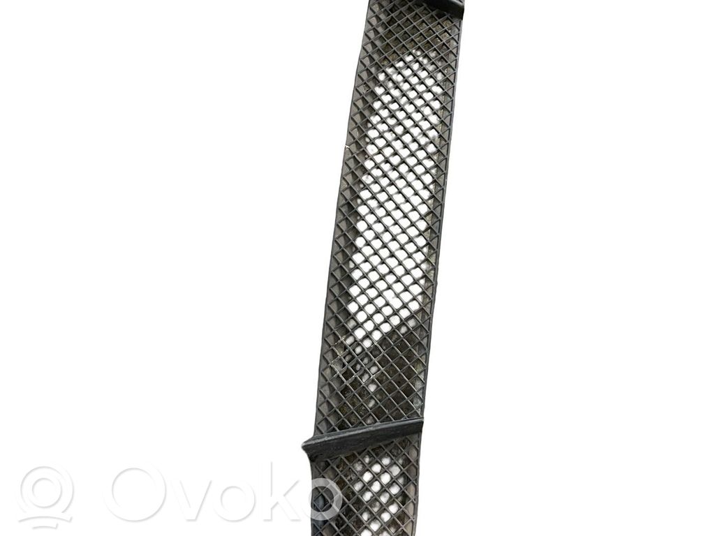 Front bumper lower grill   7118161