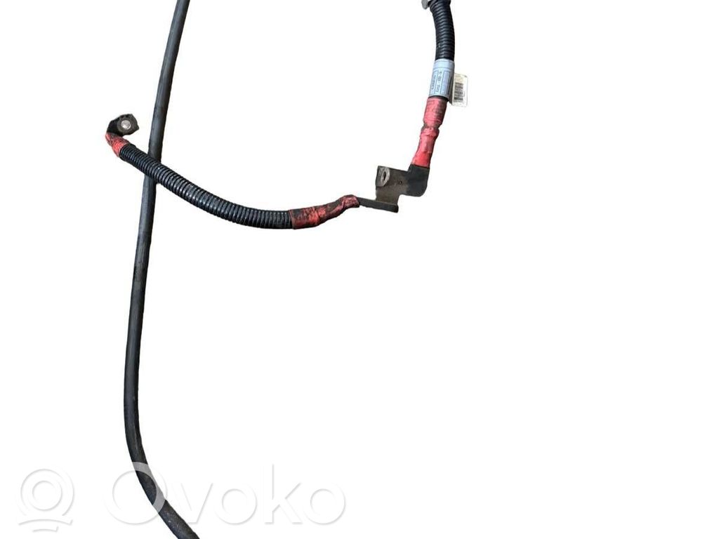 Pluskaapeli (akku)   7524631