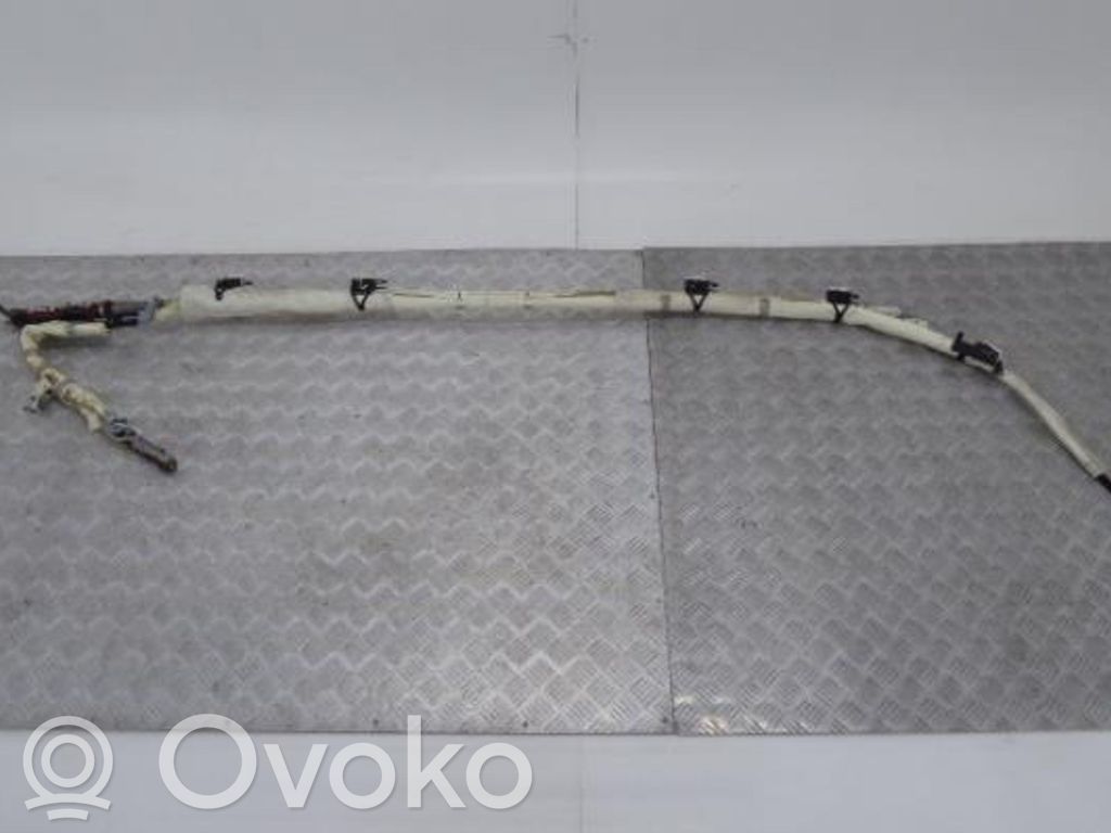 Airbag del techo   30698533