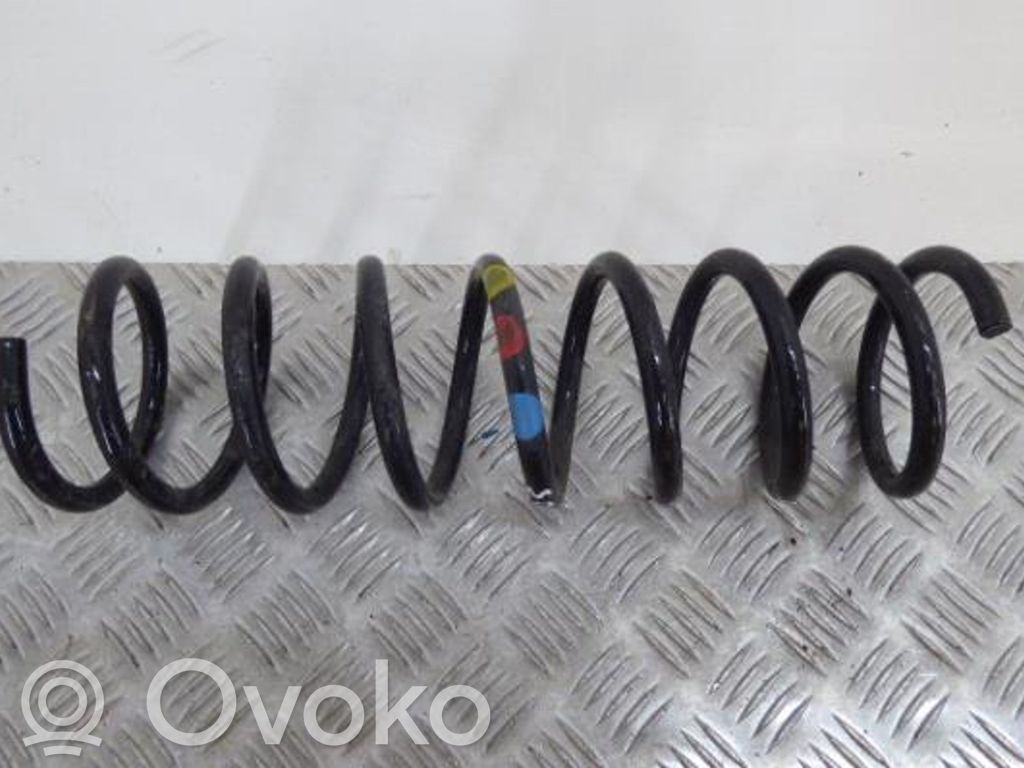 Rear coil spring
