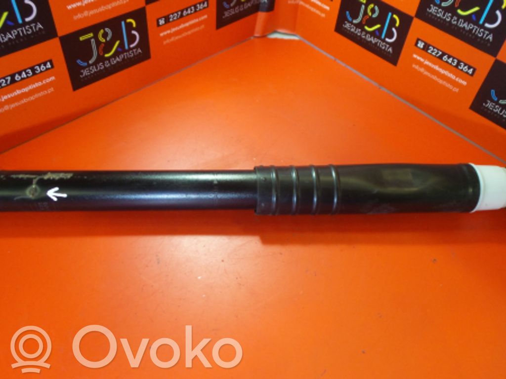Rear shock absorber/damper   1215806