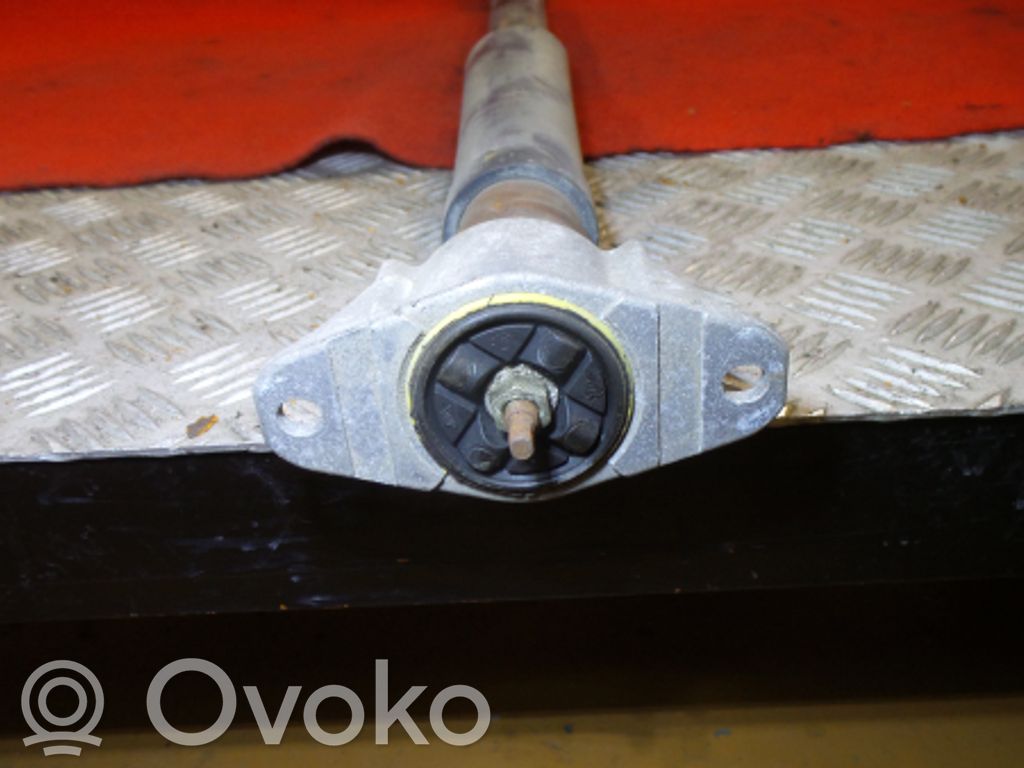 Stoßdämpfer hinten   58