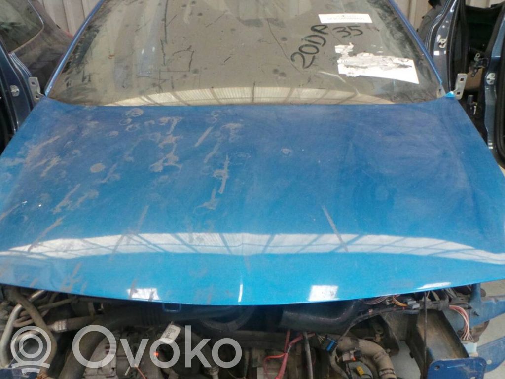 Renault Megane II Engine bonnet/hood 