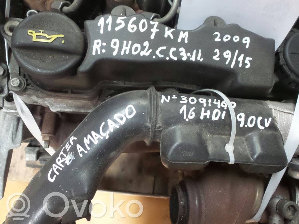 Engine   9H02,24526,29,9HXDV6ATED4