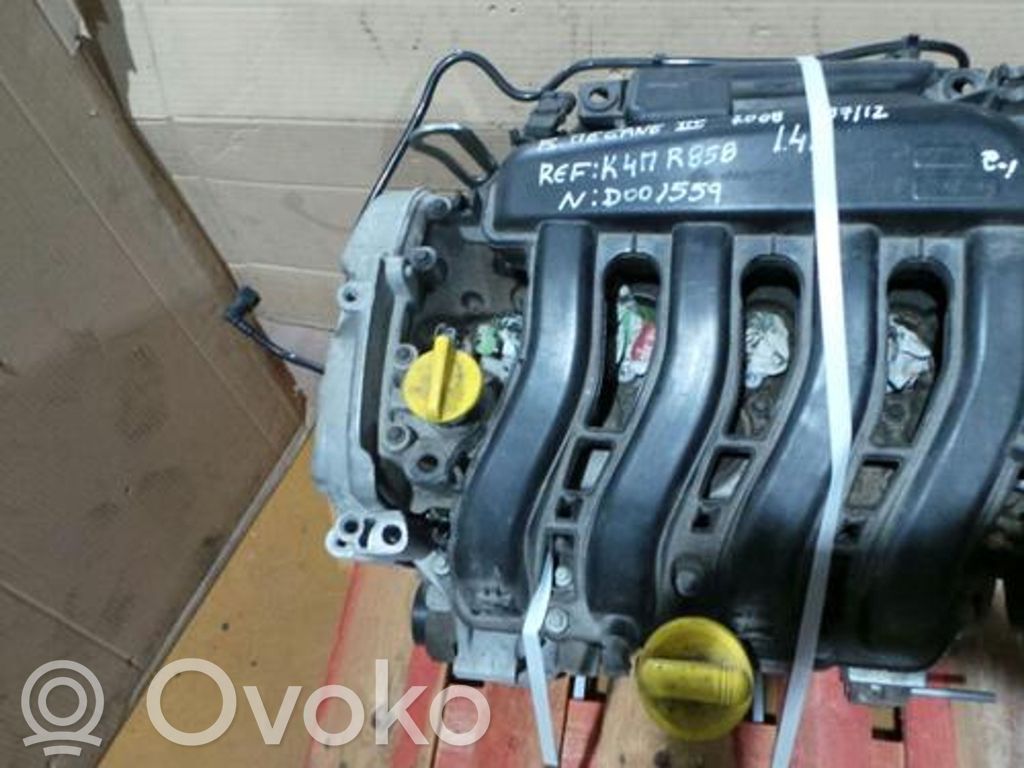 Engine   K4M858,5479,87,DOO1559