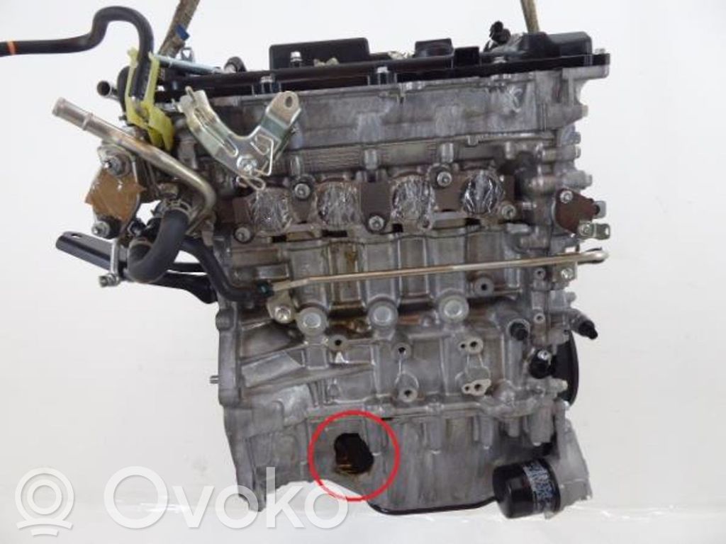 Toyota C-HR I Motor 