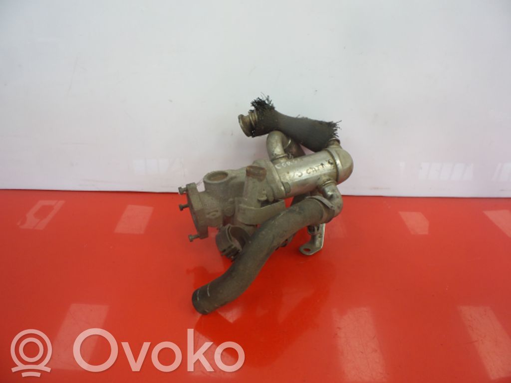 EGR aušintuvas   55185382