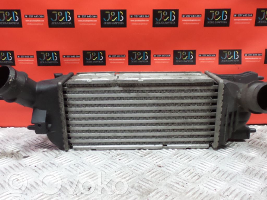 Intercooler radiator   874823N,1121252,9645682880