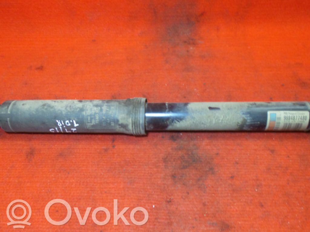 Citroen C3 Amortizor spate 