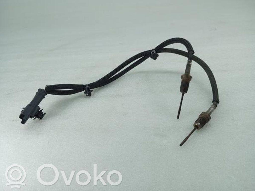 Lambda probe sensor   F133700,981403480