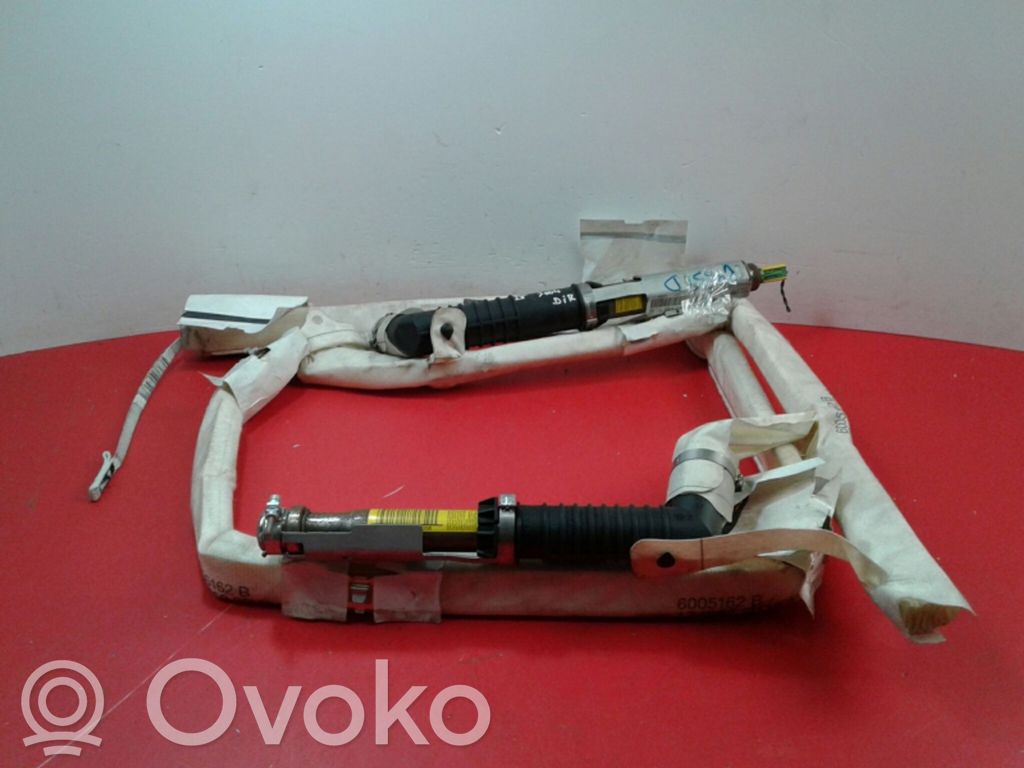 Airbag del techo   8200104456C