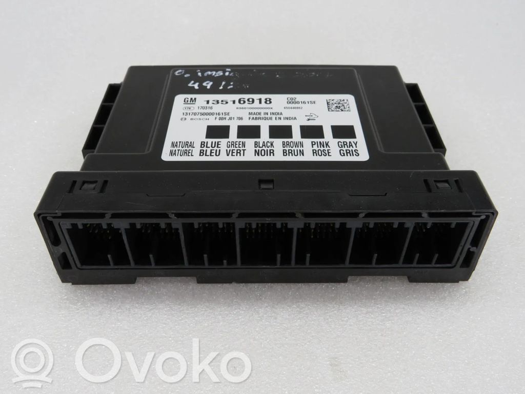 Sonstige Steuergeräte / Module   13516918,F00HJ01706