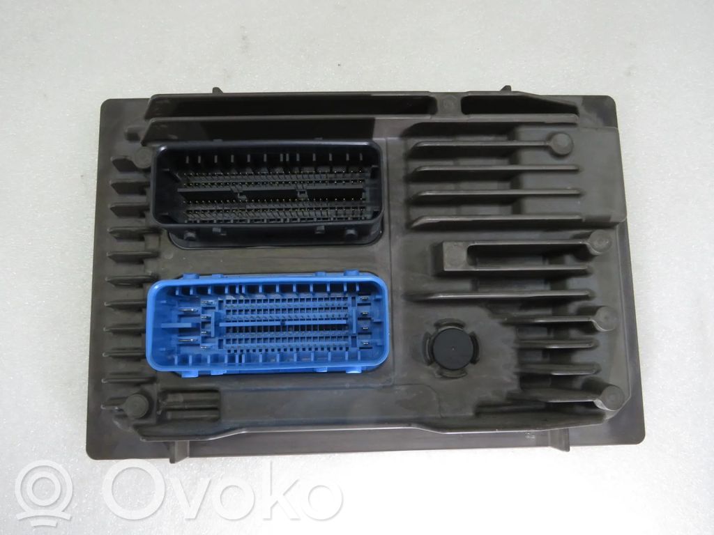 Engine control unit/module   55516933,1121201014029190,1310101000000X,466833464