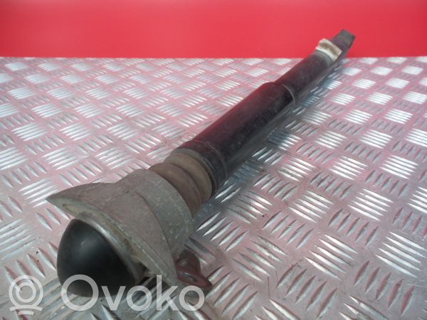 Audi RS3 8PA Rear shock absorber/damper 