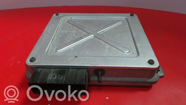 Rover 100 Engine control unit/module 
