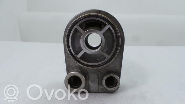 Renault Megane III Engine oil radiator 