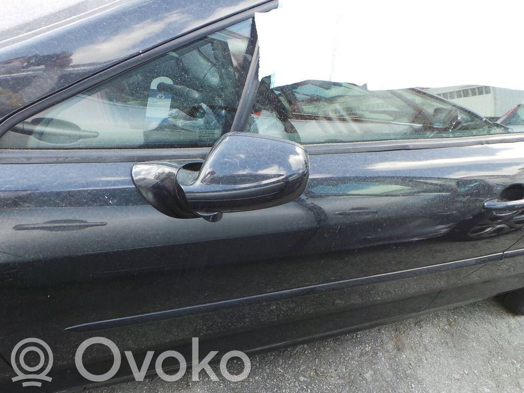 Peugeot 407 Front door 