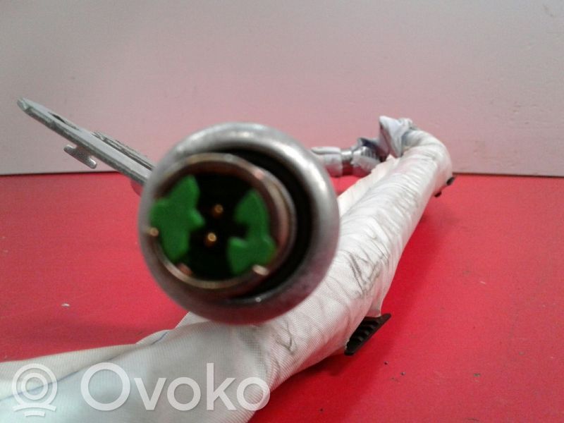 Airbag del techo   46823200,4R040910716