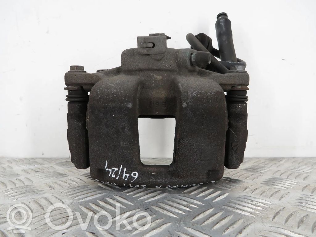 Takajarrusatula   ZOH4816