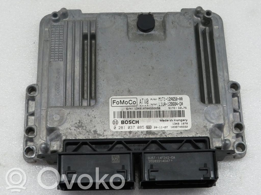 Ford Focus Engine control unit/module 