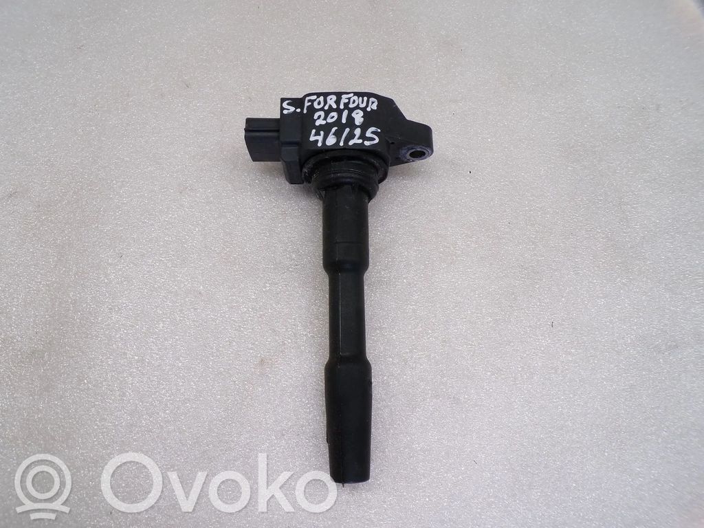 Bobina de encendido de alto voltaje   224332428R,A2819060000