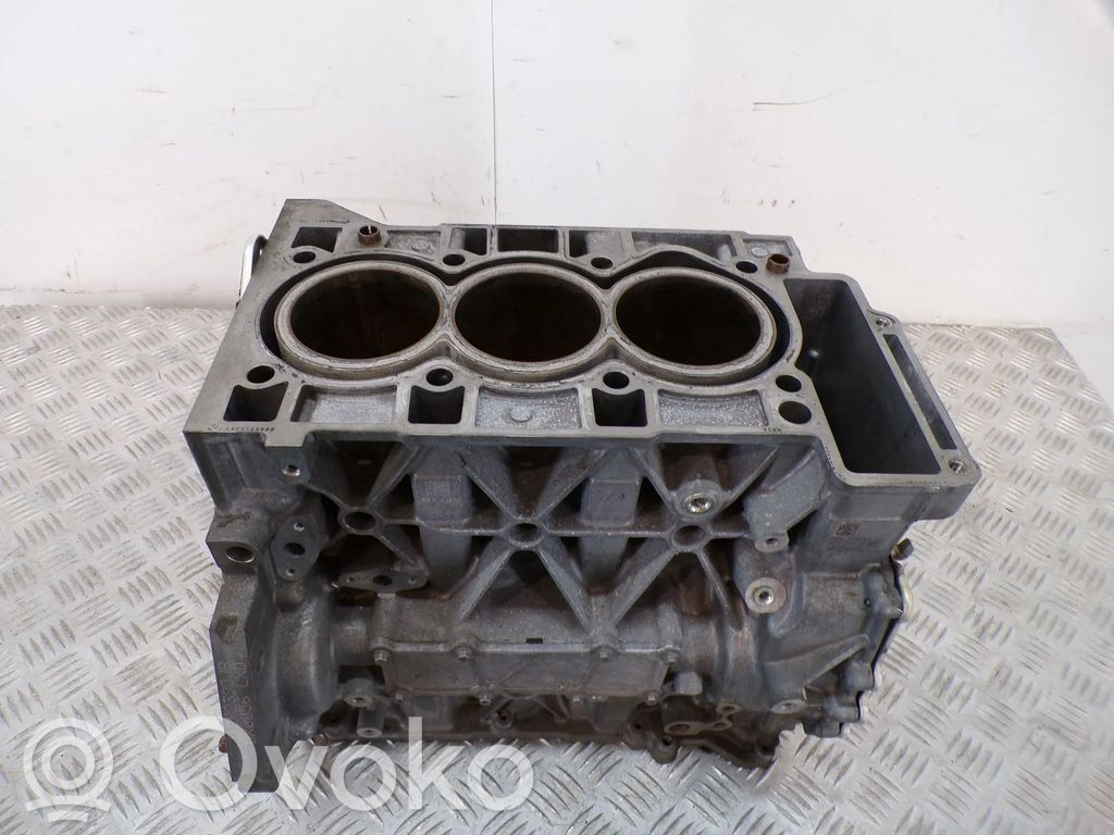 Motorblock   55514307DZ