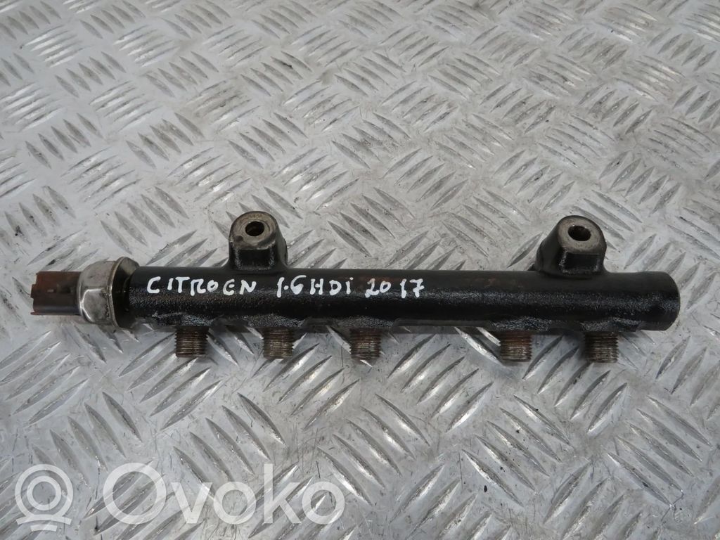 Polttoainepääputki   9676643880