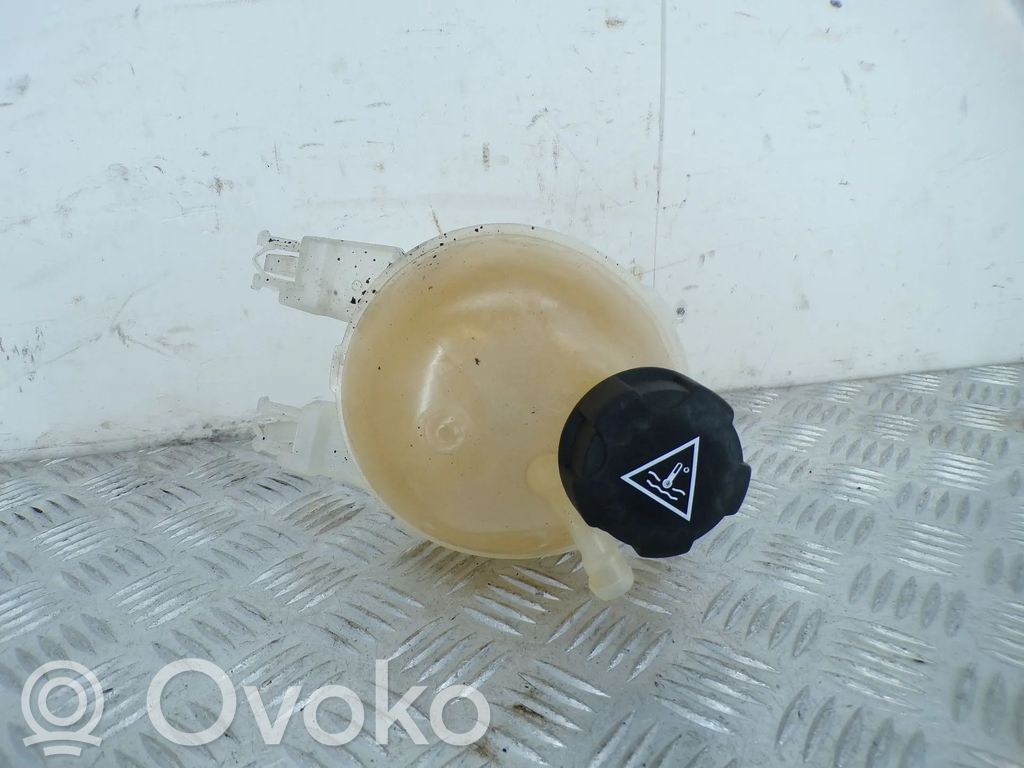 Peugeot 208 I Serbatoio di compensazione del liquido refrigerante/vaschetta 