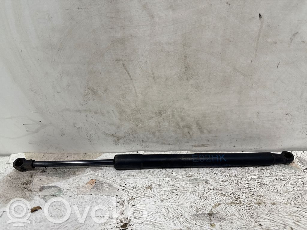 Tailgate/trunk strut/damper   51247129194
