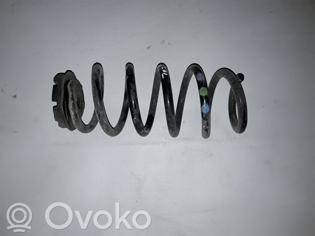 Rear coil spring