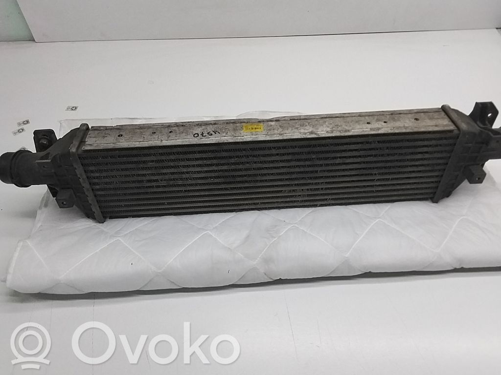 Interkūlerio radiatorius   95081734