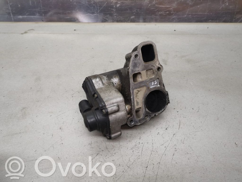 Válvula EGR   24404025