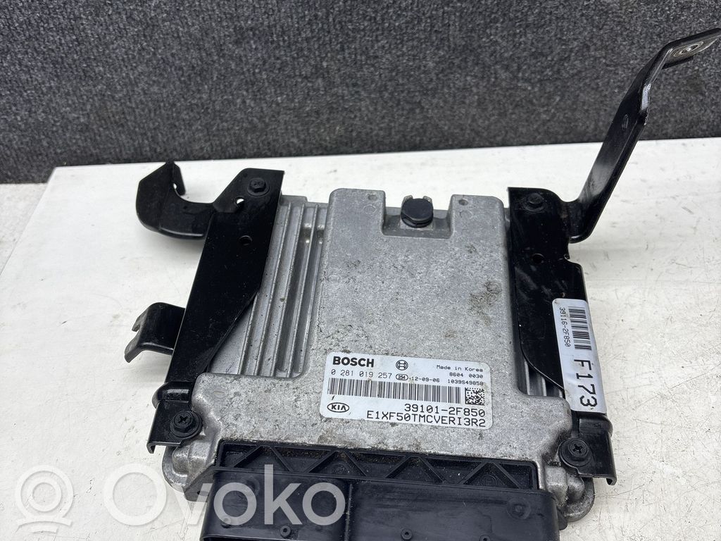 Engine control unit/module   391012F850