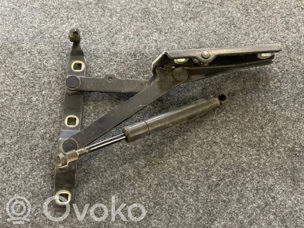 Tailgate/trunk/boot hinge   8397328,4162