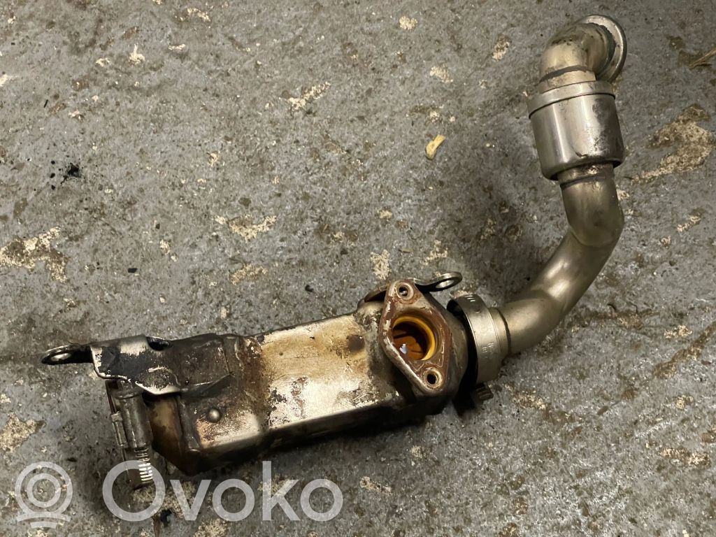 EGR dzesētājs   7789790