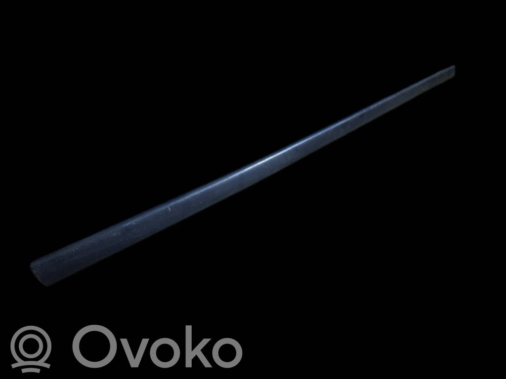 BMW 3 E46 Front door trim (molding) 