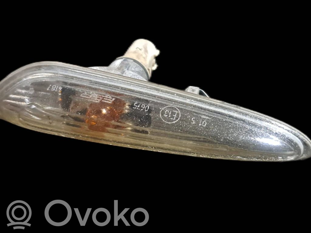 BMW X3 E83 Seitenblinker 