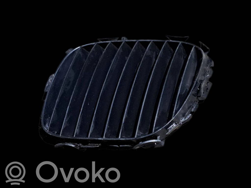 BMW Z3 E36 Front grill 