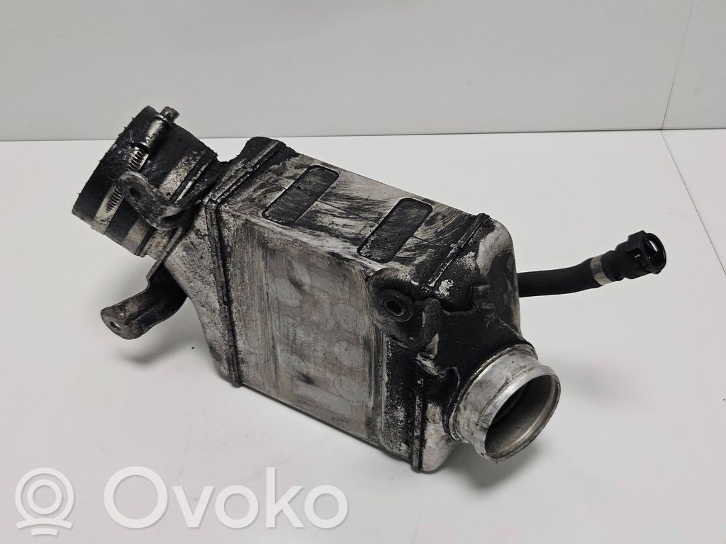 Interkūlerio radiatorius   7575404,P3425004