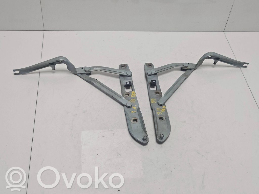 Tailgate/trunk/boot hinge   8159397,8159398