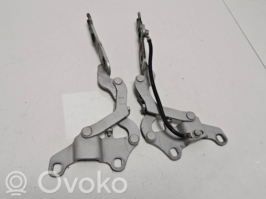 BMW 1 E82 E88 Cerniere del vano motore/cofano 