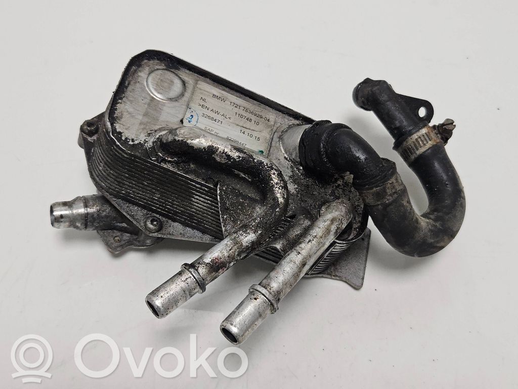 BMW 1 E82 E88 Dzinēja eļļas radiators 