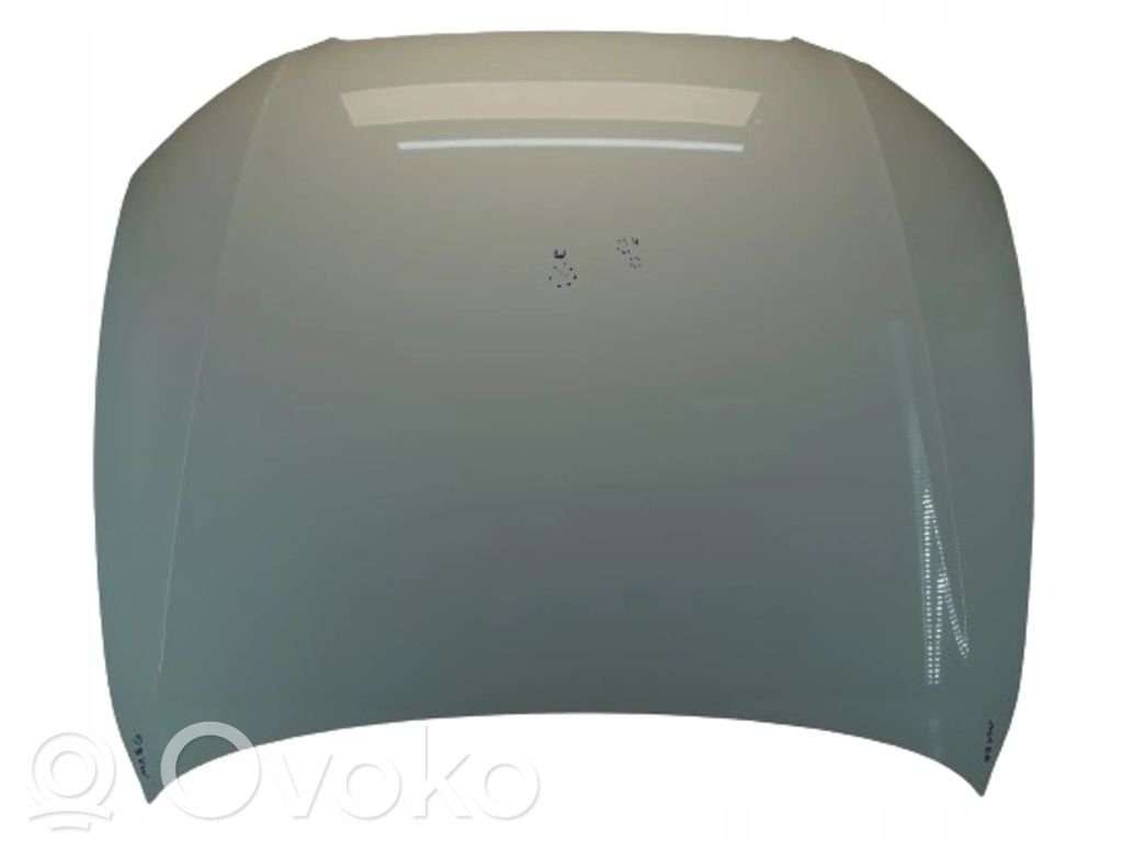 Motorhaube