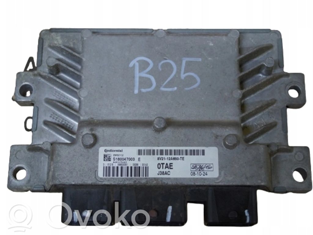 Ford Fiesta Engine control unit/module 