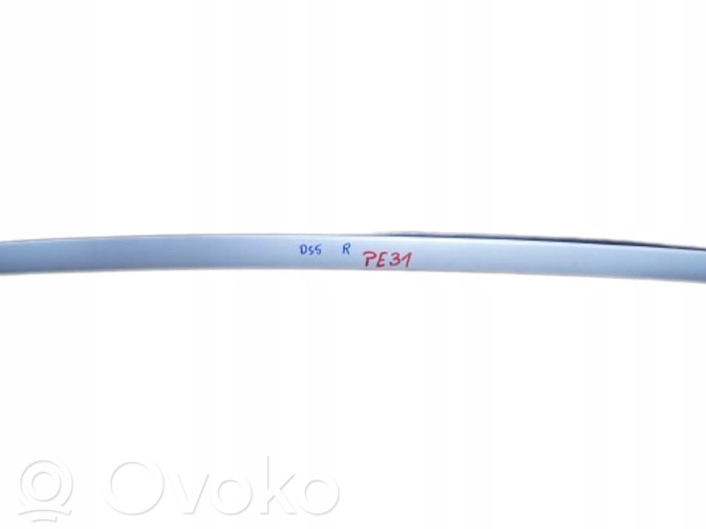 Citroen DS5 Windshield trim 