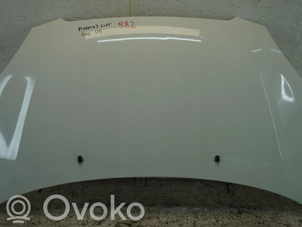 Engine bonnet/hood