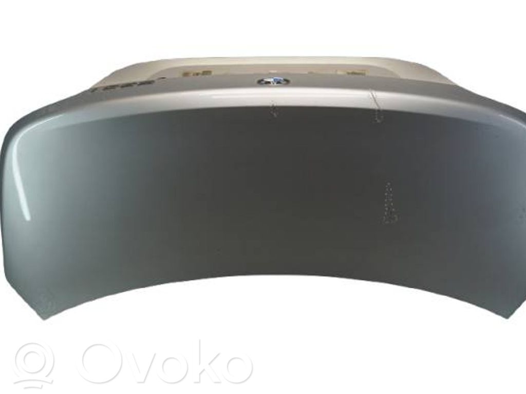 Tailgate/trunk/boot lid
