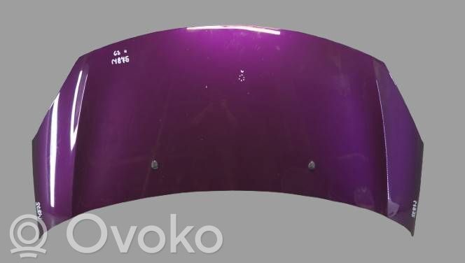 Motorhaube